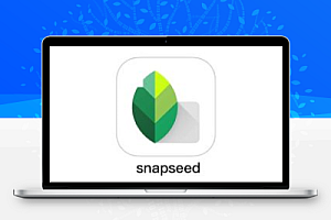 snapseed官方最新版本2023 v2.20.0.529184797 安卓版