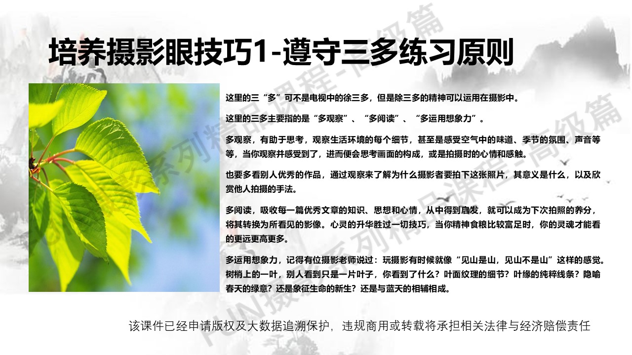 培养摄影眼的5个基础条件和7个技巧